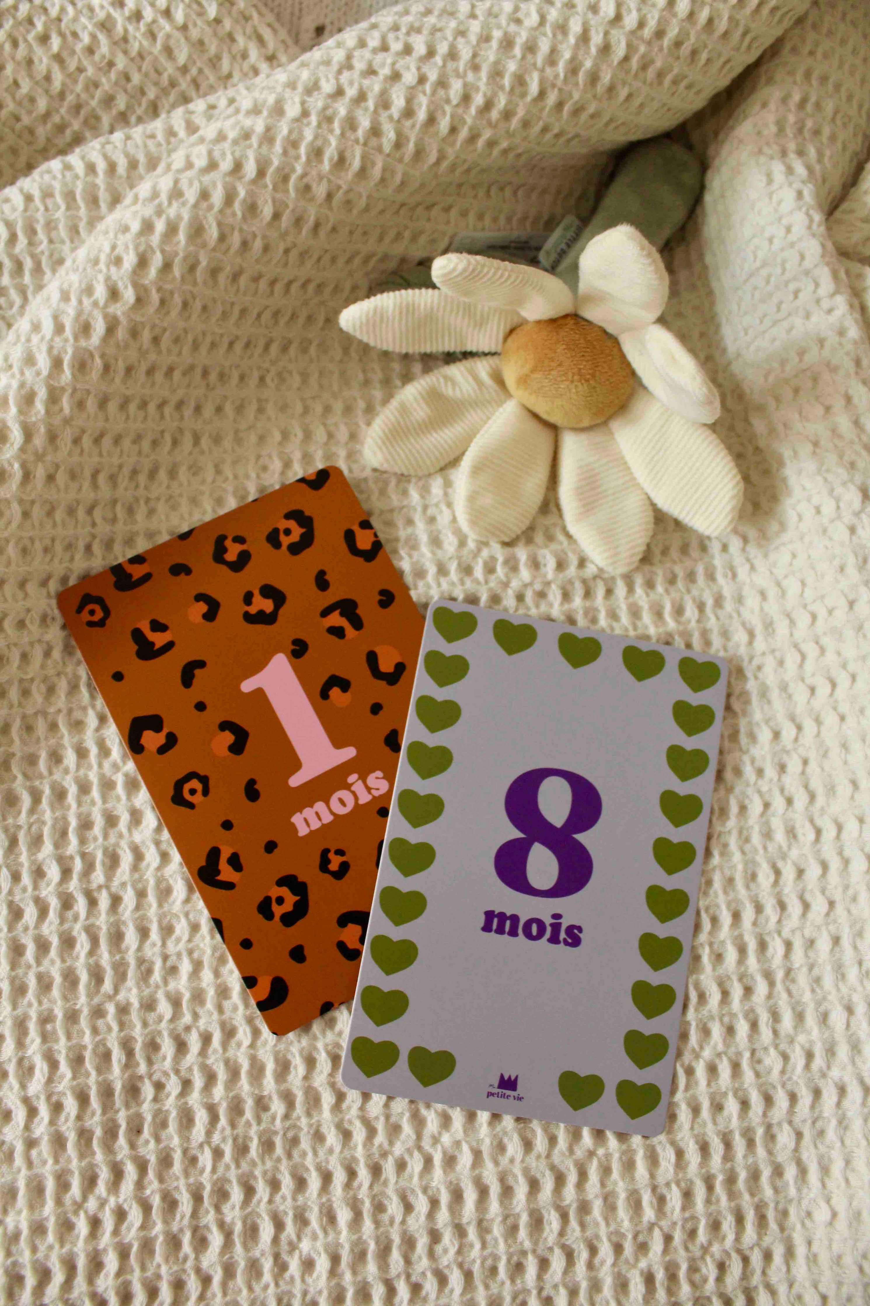 Cartes étapes - Mes 12 premiers mois