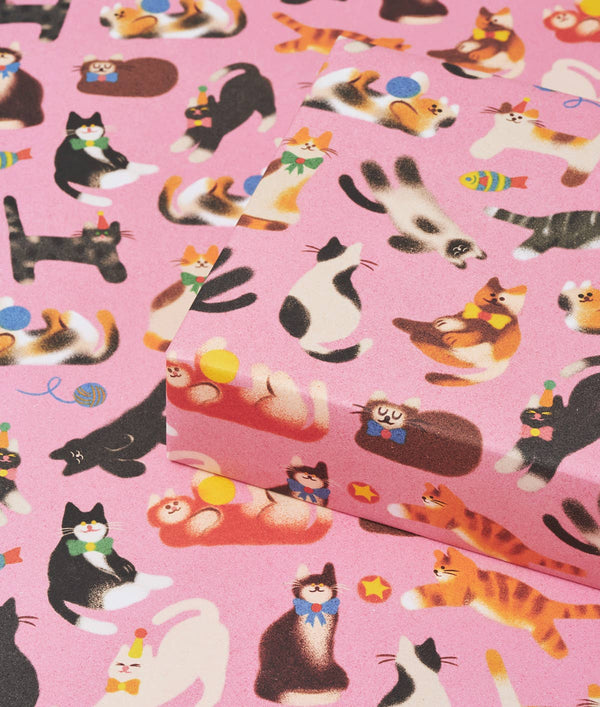 Papier cadeau pour enfants thème chats