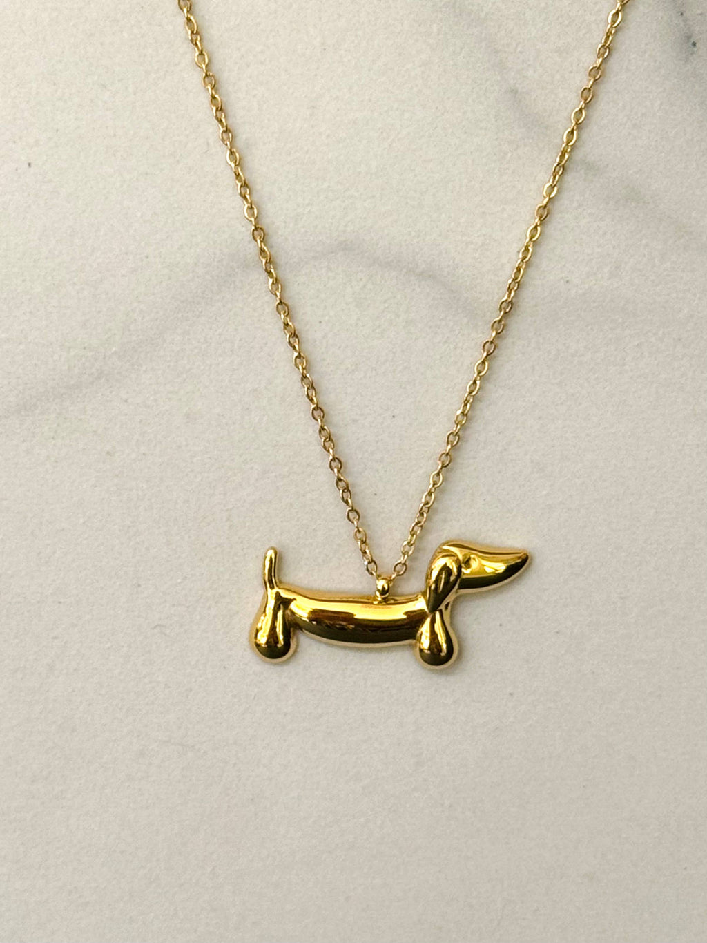 Collier Teckel en Acier Inoxydable: Or