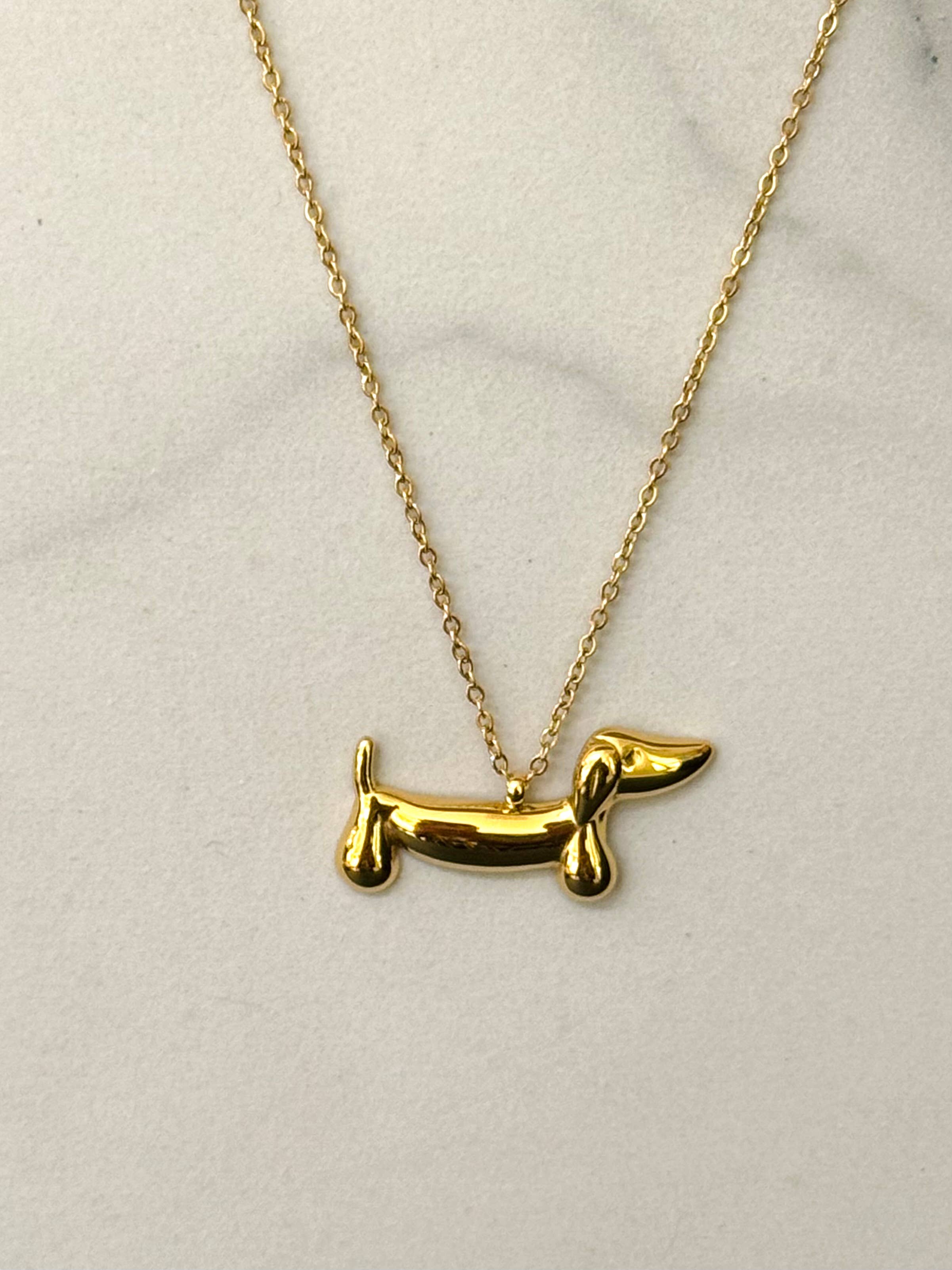 Collier Teckel en Acier Inoxydable: Or