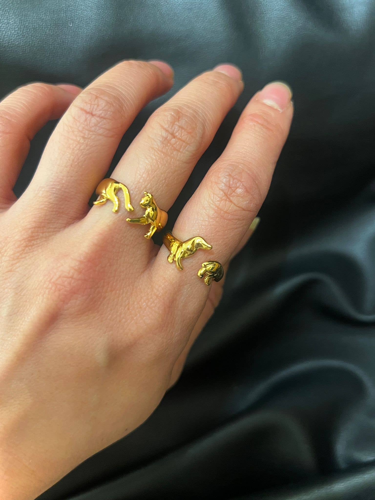 Anneau de tournée Teckel: Gold