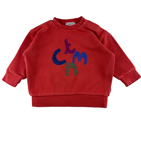 Sweat motif placé, 6 mois