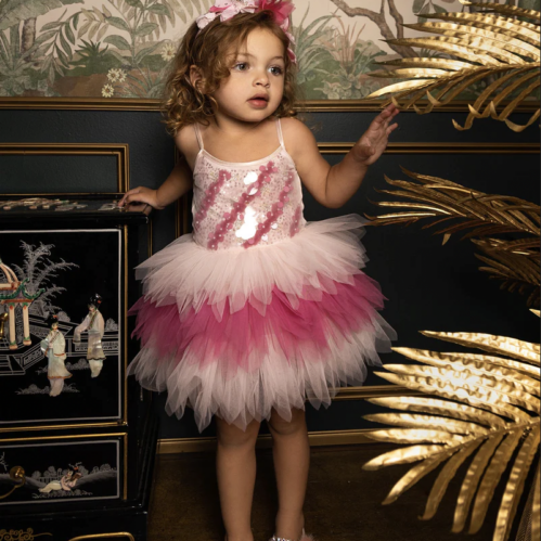 Robe tutu sequin chic, pour bébé fille pour un mariage ou une séance photo