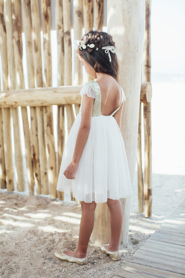 robe-sequin-et-tulle-cérémonie, mariage, fille à louer En-boucle