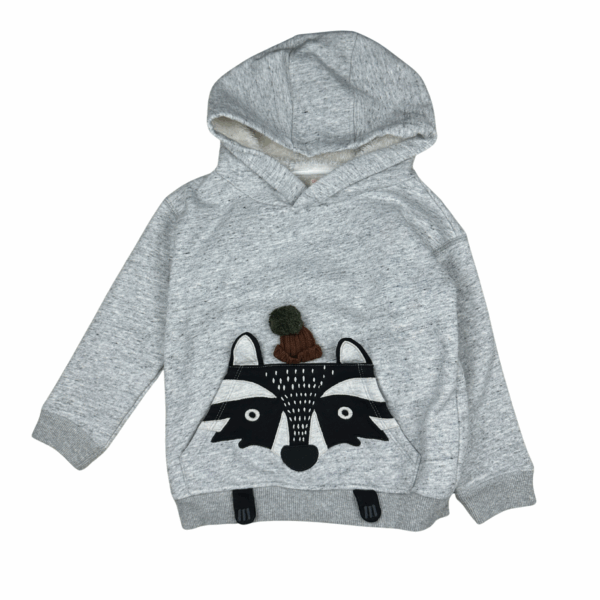 Sweat à capuche Du Pareil Au Même 5 ans seconde main