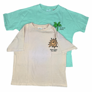 Lot tee-shirts Zara 3-4 ans seconde main