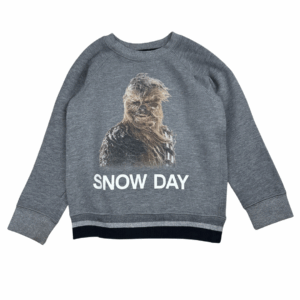 Sweat gris imprimé Gap 5 ans seconde main