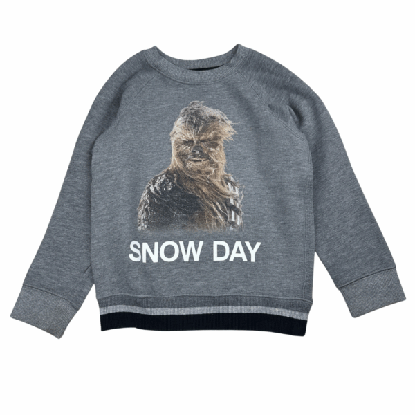Sweat gris imprimé Gap 5 ans seconde main