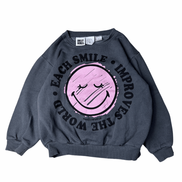 Sweat imprimé Zara 4-5 ans seconde main