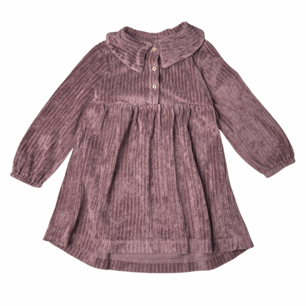 Robe en velours Zara 3-4 ans seconde main